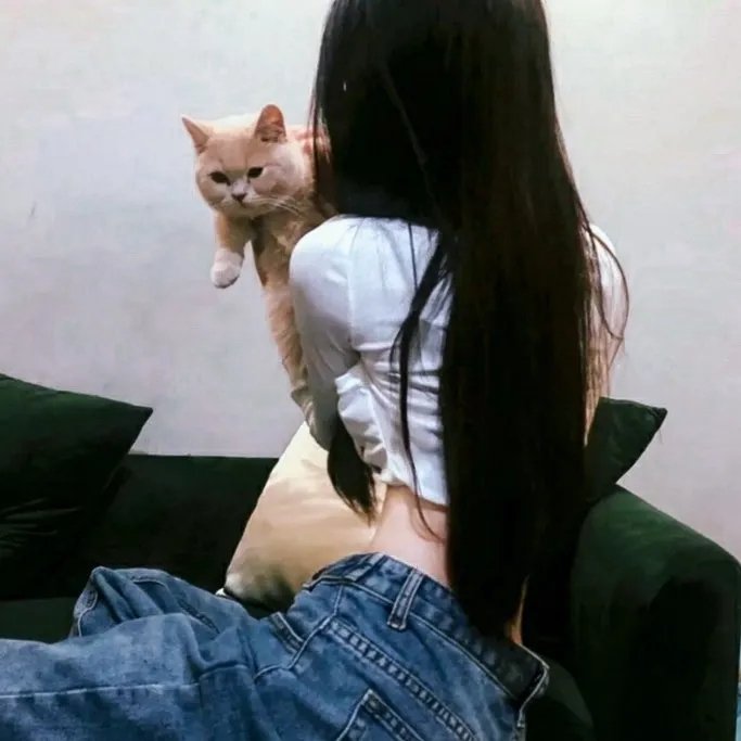 凤弈